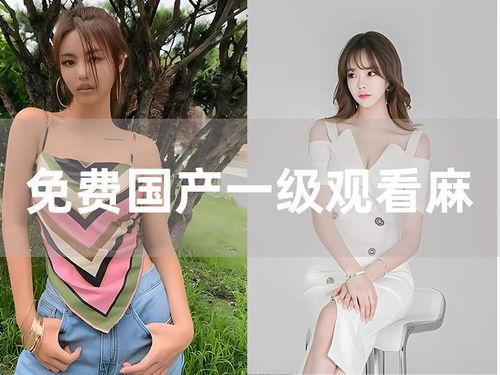 国产一级国产在线视频,探索国产影视新境界