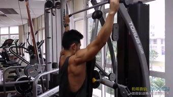 国产猛男视频网址在线看,在线观看激情四溢的猛男视频